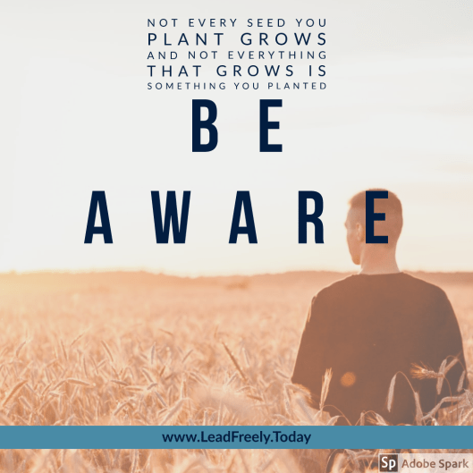 Adobe_Post_20190828_143544